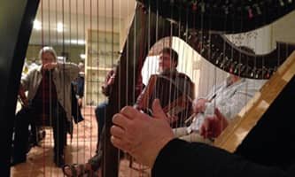 Riley session viewed through harp strings